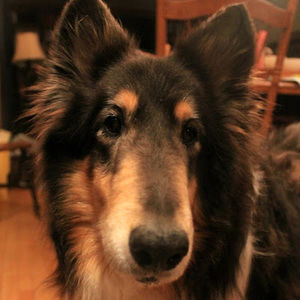 Meet your Posher, Ca